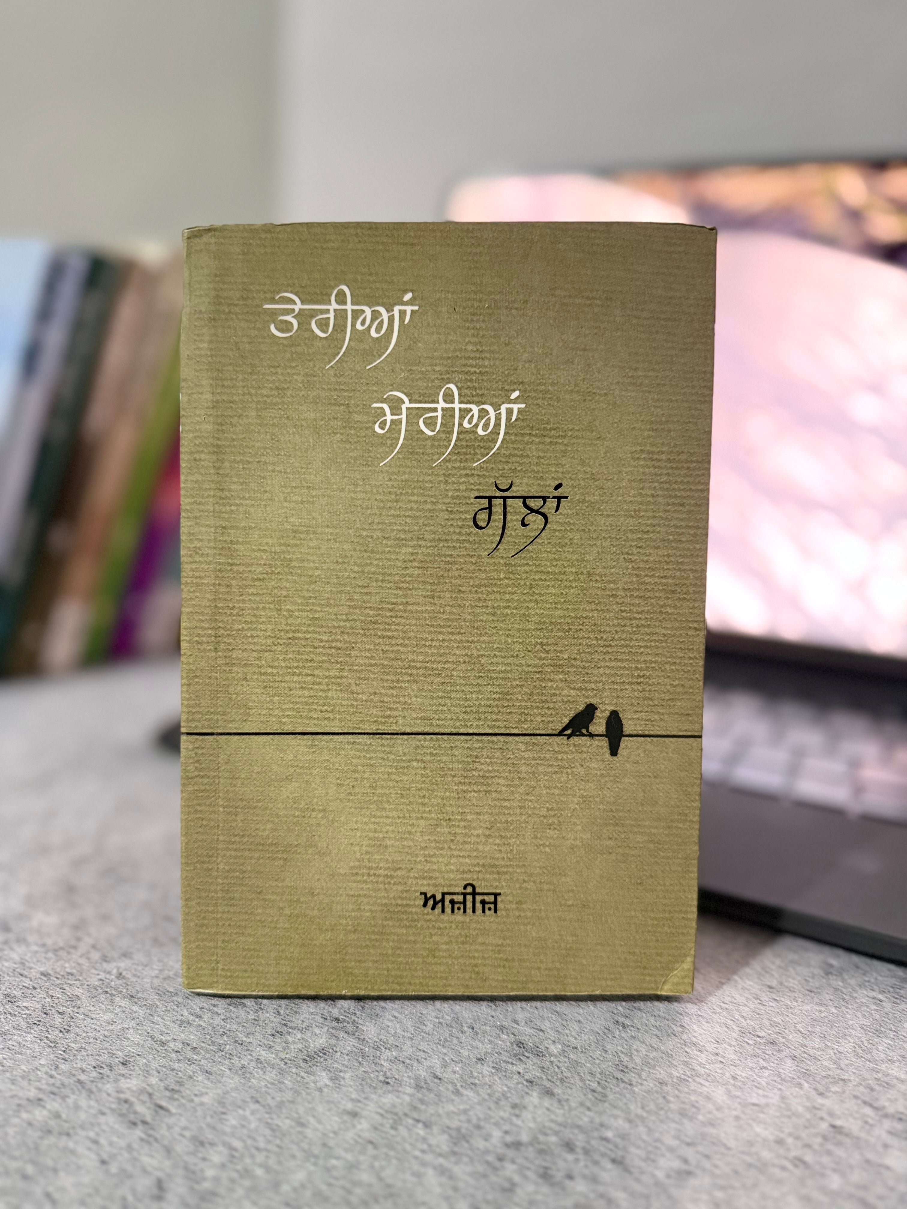 ਤੇਰੀਆਂ ਮੇਰੀਆਂ ਗੱਲਾਂ – ਅਜ਼ੀਜ਼
